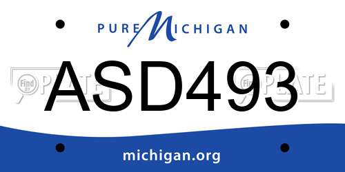 ASD493 Michigan License Plate