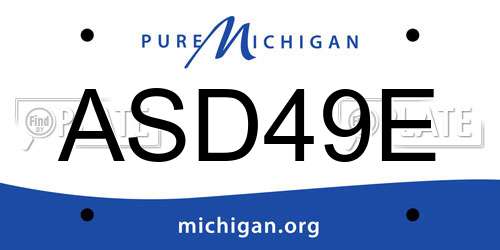 ASD49E Michigan License Plate