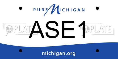 ASE1 Michigan License Plate