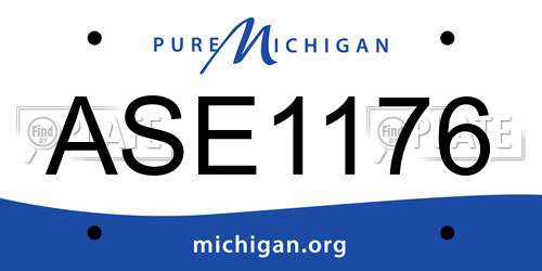 ASE1176 Michigan License Plate