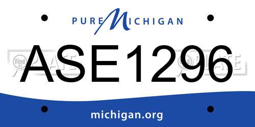 ASE1296 Michigan License Plate