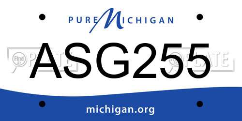 ASG255 Michigan License Plate