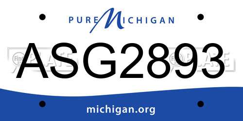 ASG2893 Michigan License Plate