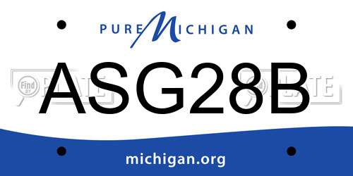 ASG28B Michigan License Plate