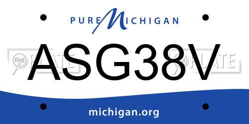 ASG38V Michigan License Plate