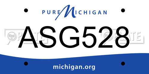 ASG528 Michigan License Plate