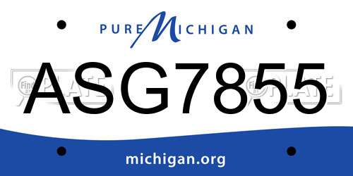 ASG7855 Michigan License Plate