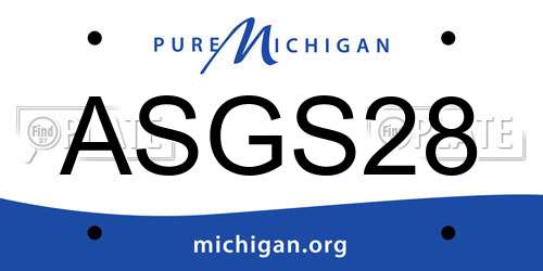 ASGS28 Michigan License Plate
