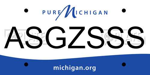 ASGZSSS Michigan License Plate