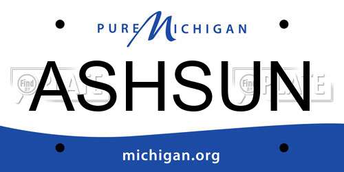 ASHSUN Michigan License Plate