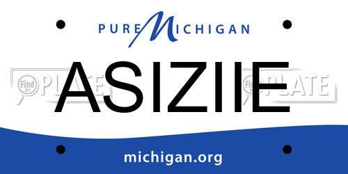 ASIZIIE Michigan License Plate