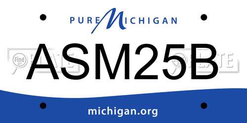 ASM25B Michigan License Plate