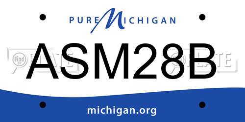 ASM28B Michigan License Plate