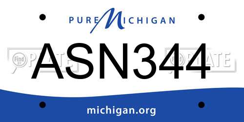 ASN344 Michigan License Plate