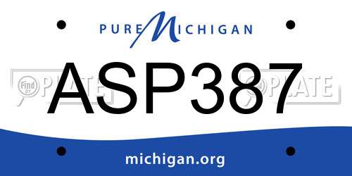ASP387 Michigan License Plate