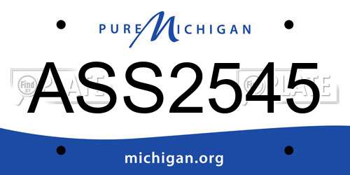 ASS2545 Michigan License Plate