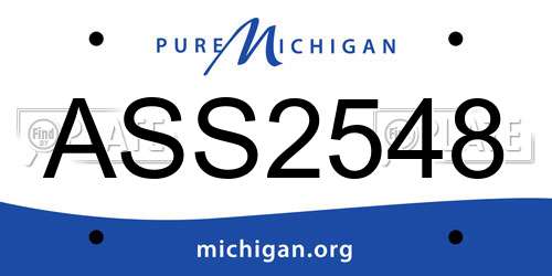 ASS2548 Michigan License Plate