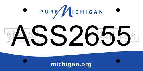 ASS2655 Michigan License Plate