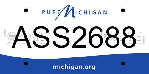 ASS2688 Michigan License Plate