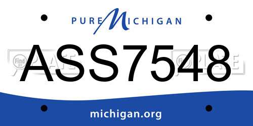 ASS7548 Michigan License Plate