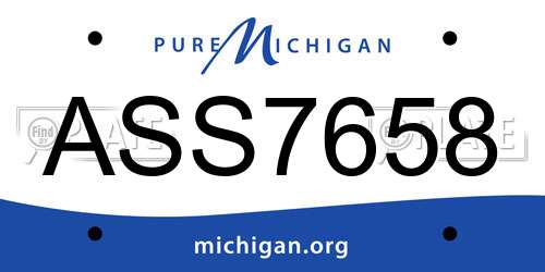 ASS7658 Michigan License Plate
