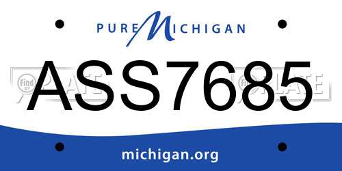 ASS7685 Michigan License Plate