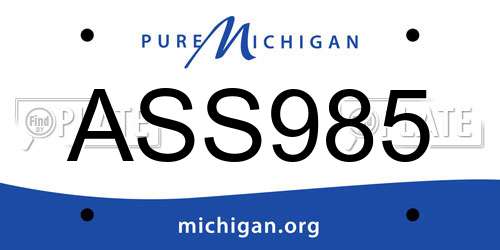 ASS985 Michigan License Plate