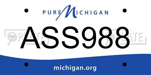 ASS988 Michigan License Plate