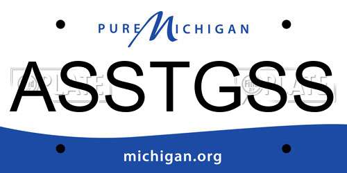 ASSTGSS Michigan License Plate