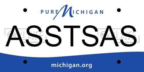 ASSTSAS Michigan License Plate