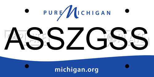 ASSZGSS Michigan License Plate