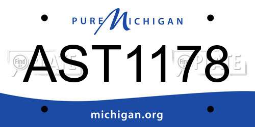 AST1178 Michigan License Plate
