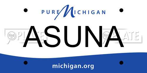 ASUNA Michigan License Plate