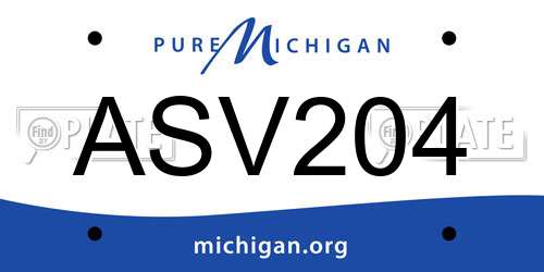 ASV204 Michigan License Plate