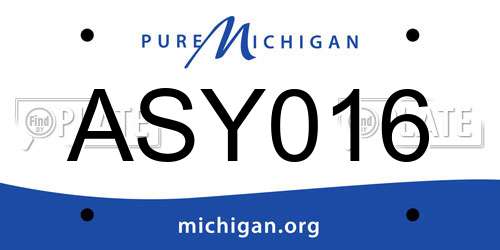 ASY016 Michigan License Plate