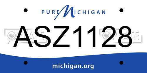 ASZ1128 Michigan License Plate
