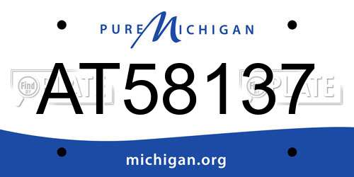 AT58137 Michigan License Plate