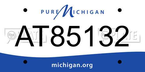 AT85132 Michigan License Plate