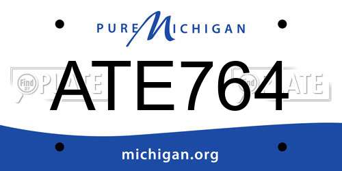 ATE764 Michigan License Plate