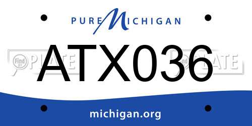 ATX036 Michigan License Plate
