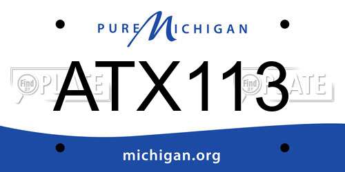 ATX113 Michigan License Plate