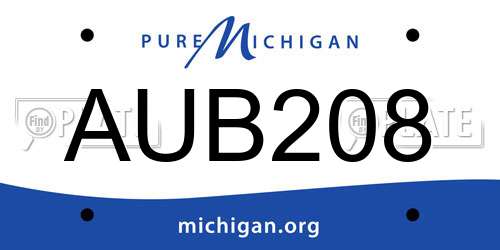 AUB208 Michigan License Plate