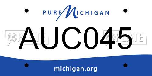 AUC045 Michigan License Plate