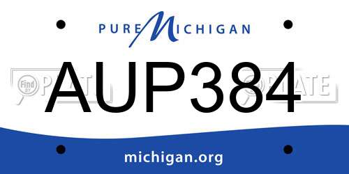 AUP384 Michigan License Plate