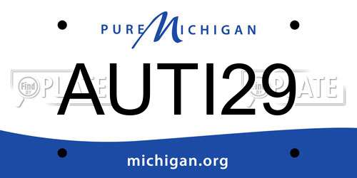 AUTI29 Michigan License Plate