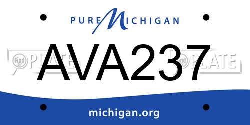 AVA237 Michigan License Plate