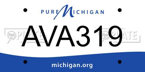 AVA319 Michigan License Plate