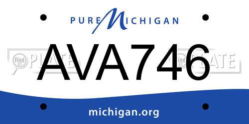 AVA746 Michigan License Plate