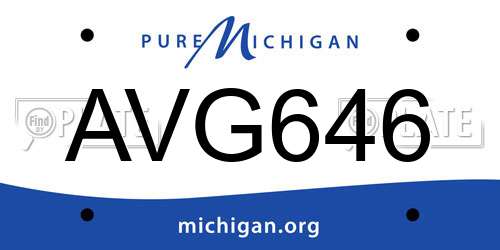 AVG646 Michigan License Plate
