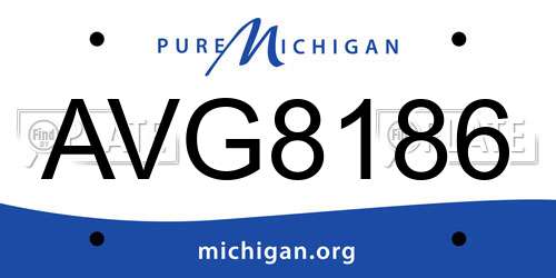 AVG8186 Michigan License Plate